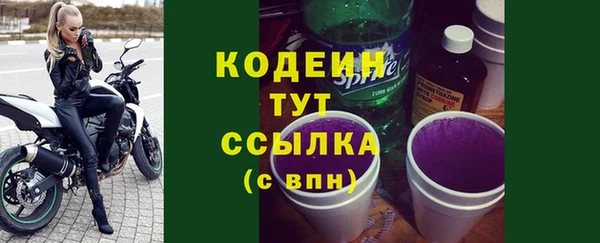 ПСИЛОЦИБИНОВЫЕ ГРИБЫ Арсеньев