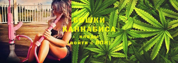 ПСИЛОЦИБИНОВЫЕ ГРИБЫ Арсеньев
