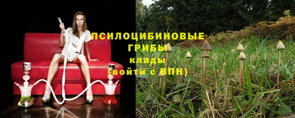 прущая мука Армянск