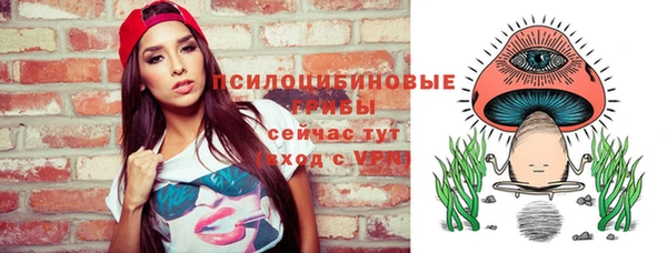 ПСИЛОЦИБИНОВЫЕ ГРИБЫ Арсеньев