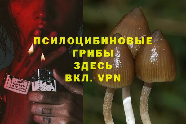 прущая мука Армянск