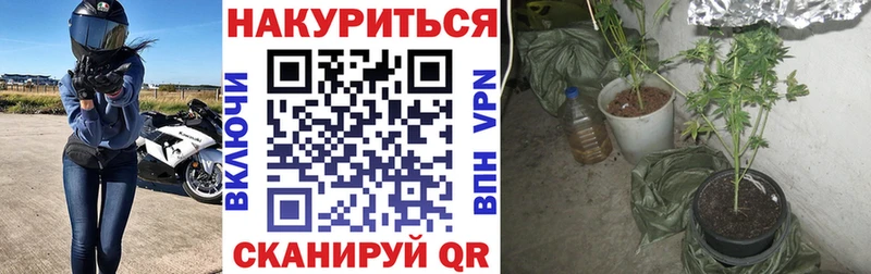 Канабис марихуана Гудермес